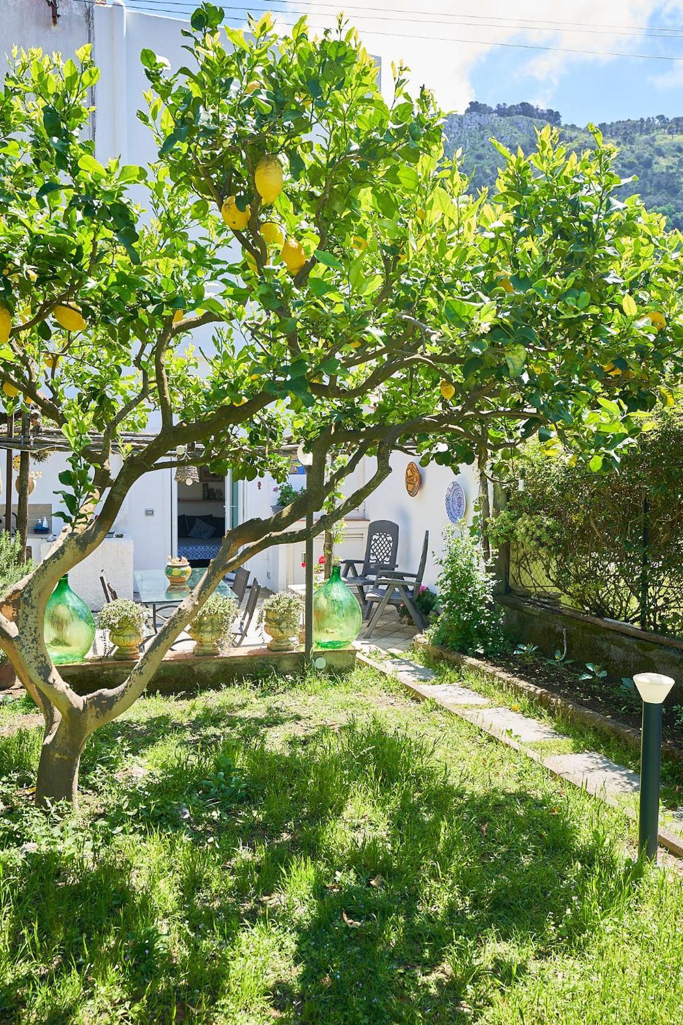 Il Cellaio Hotel Anacapri  Eksteriør billede